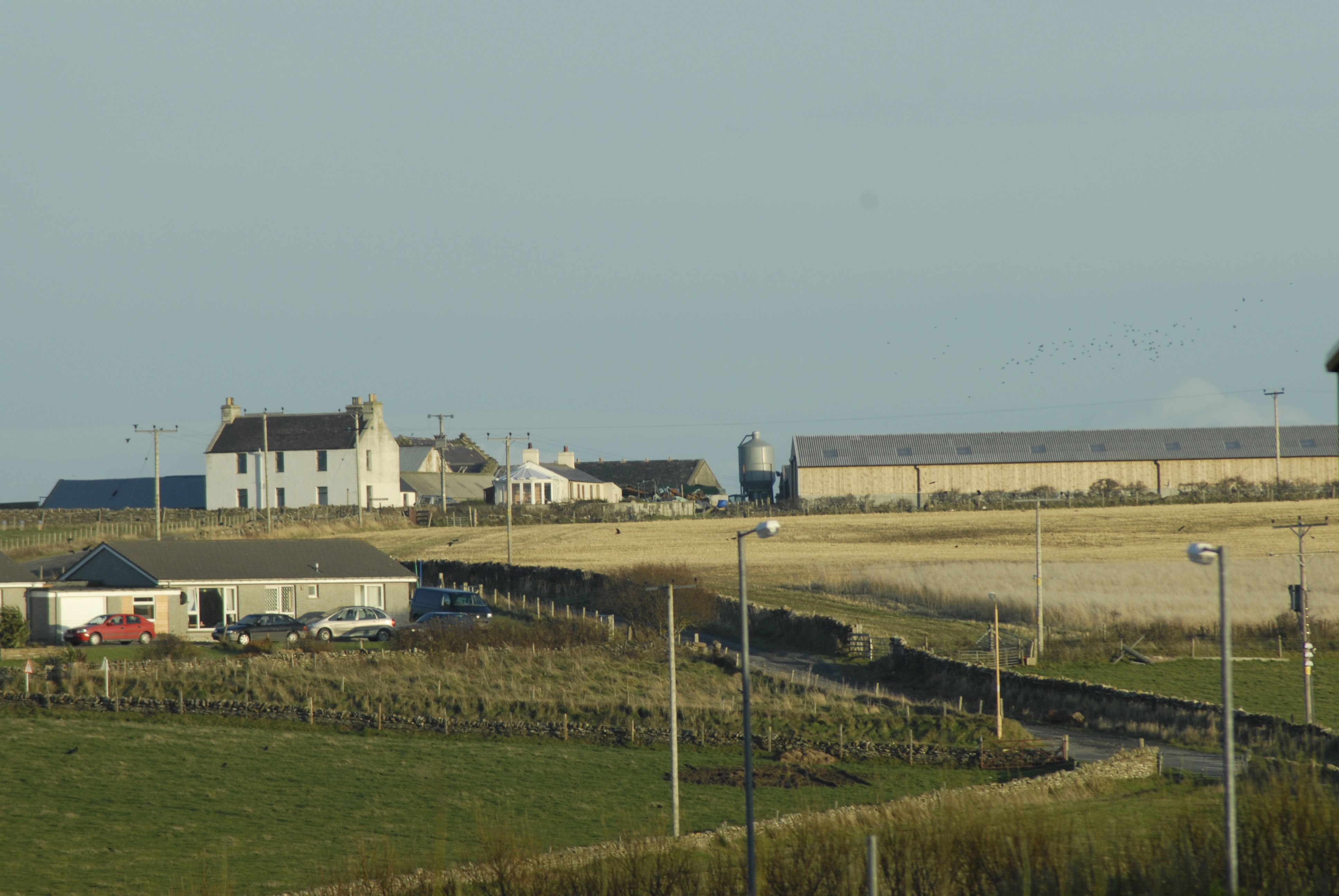 Orkney Image Library Seatter Farm basking in sunshine
